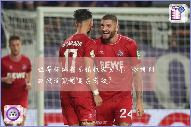 世界杯体彩竞猜数据分析：如何判断投注策略是否有效？