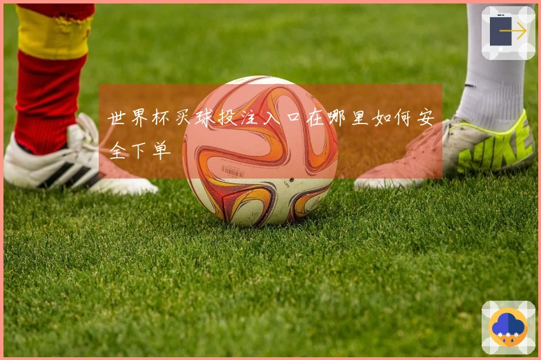 世界杯买球投注入口在哪里如何安全下单