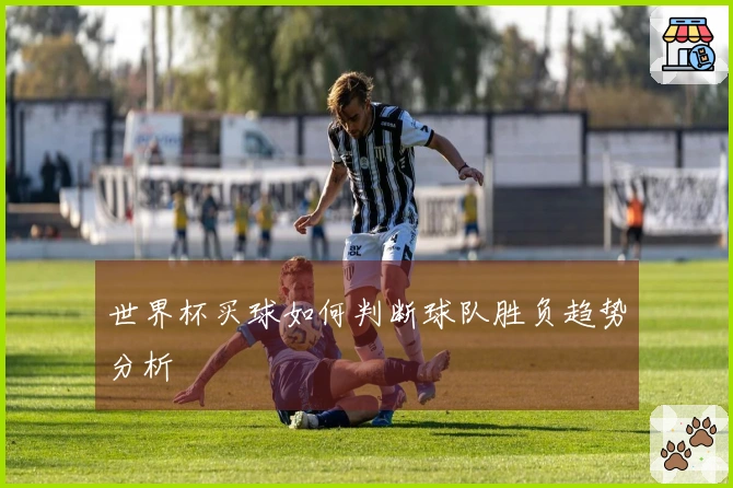 世界杯买球如何判断球队胜负趋势分析