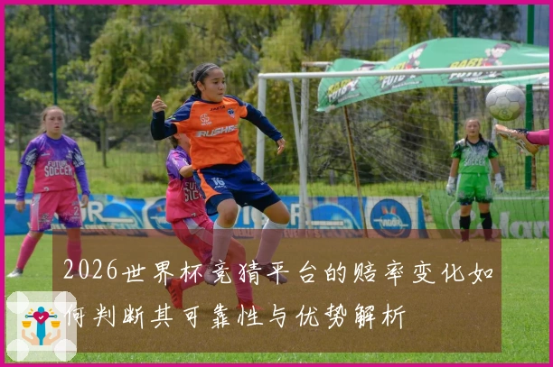 2026世界杯竞猜平台的赔率变化如何判断其可靠性与优势解析