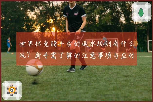 世界杯竞猜平台的返水规则有什么坑？新手需了解的注意事项与应对策略