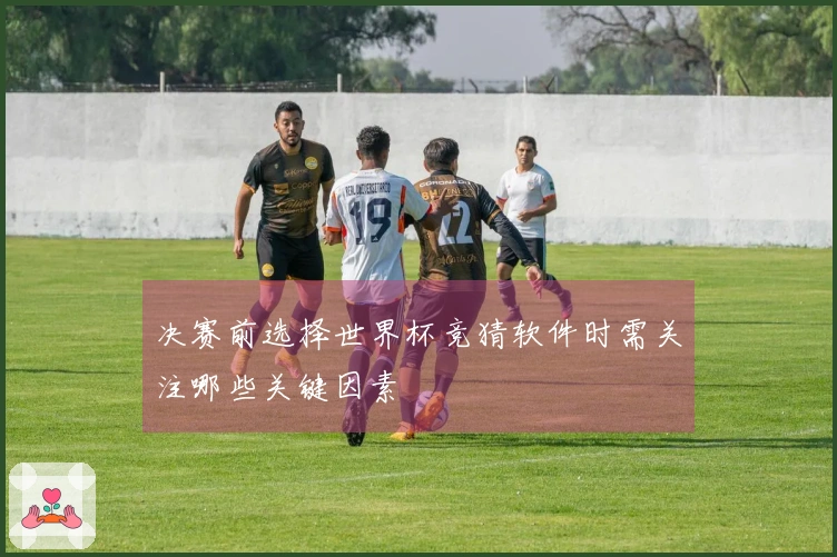 决赛前选择世界杯竞猜软件时需关注哪些关键因素