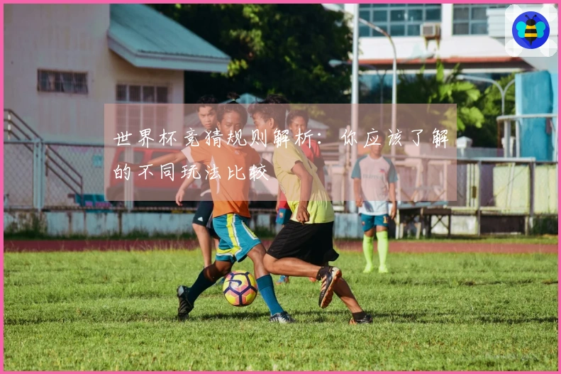 世界杯竞猜规则解析：你应该了解的不同玩法比较