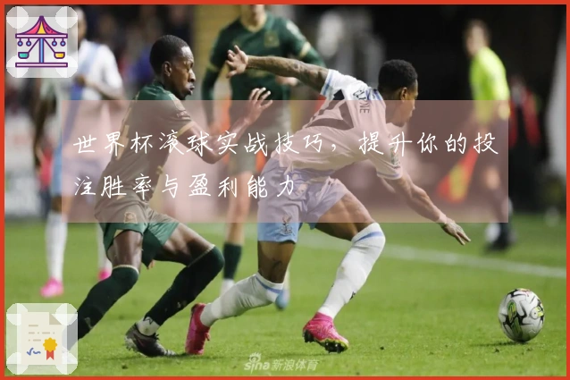 世界杯滚球实战技巧，提升你的投注胜率与盈利能力