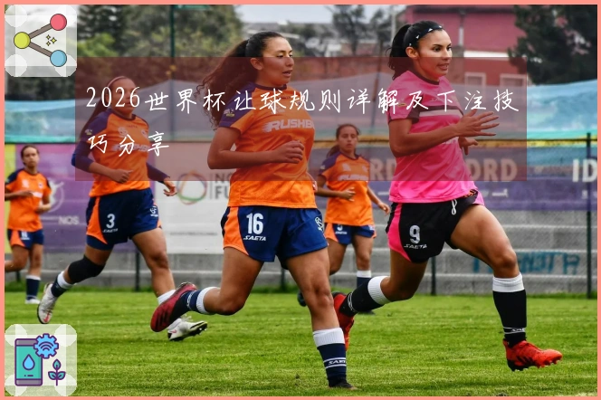 2026世界杯让球规则详解及下注技巧分享