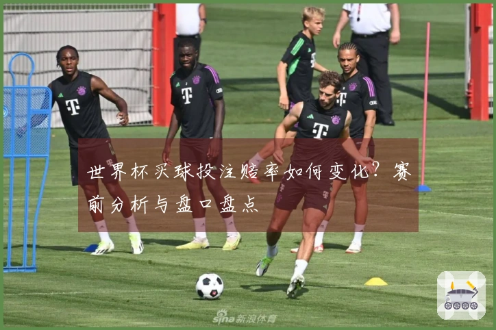 世界杯买球投注赔率如何变化？赛前分析与盘口盘点