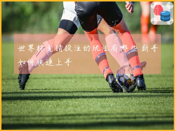 世界杯竞猜投注的玩法有哪些 新手如何快速上手