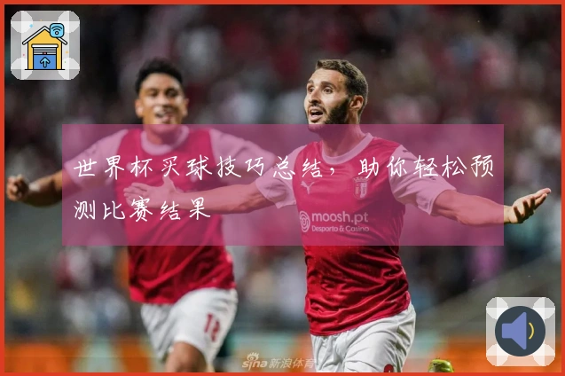 世界杯买球技巧总结，助你轻松预测比赛结果
