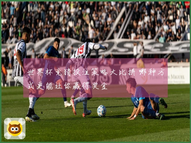 世界杯竞猜投注策略大比拼 哪种方式更能让你赢得奖金