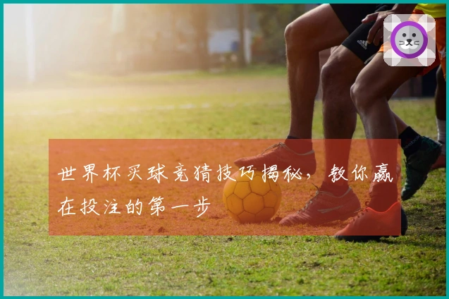 世界杯买球竞猜技巧揭秘，教你赢在投注的第一步