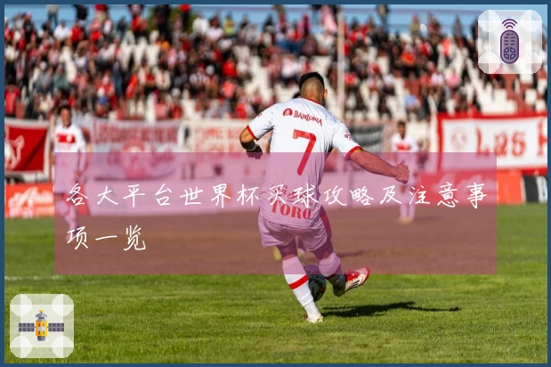 各大平台世界杯买球攻略及注意事项一览