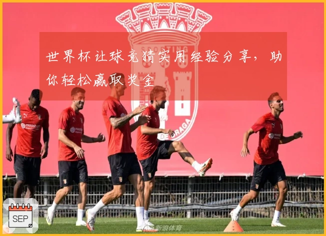 世界杯让球竞猜实用经验分享，助你轻松赢取奖金