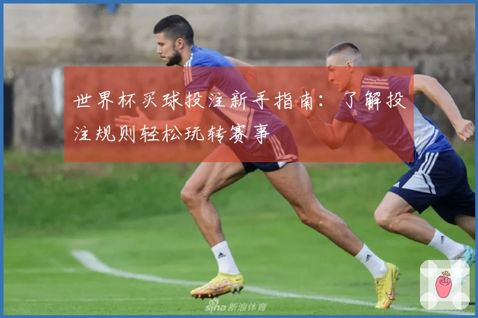 世界杯买球投注新手指南：了解投注规则轻松玩转赛事