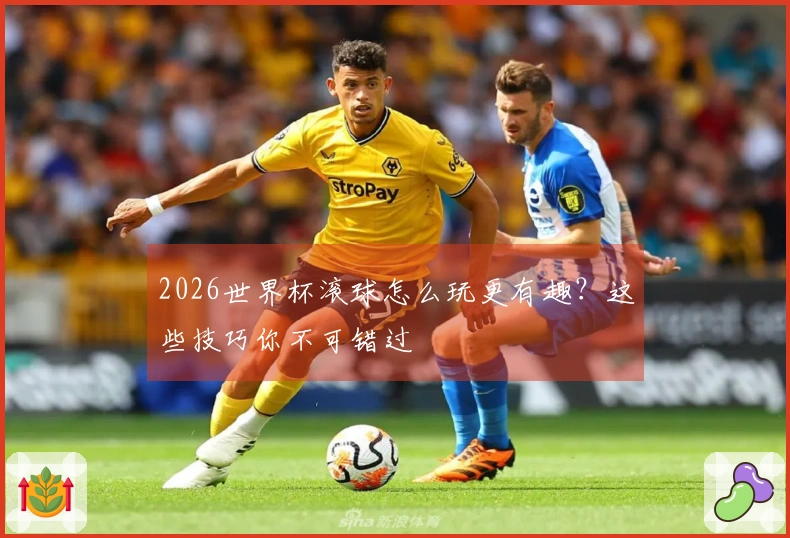 2026世界杯滚球怎么玩更有趣？这些技巧你不可错过