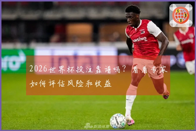 2026世界杯投注靠谱吗？看看专家如何评估风险和收益