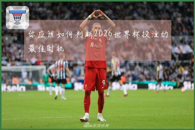 你应该如何判断2026世界杯投注的最佳时机