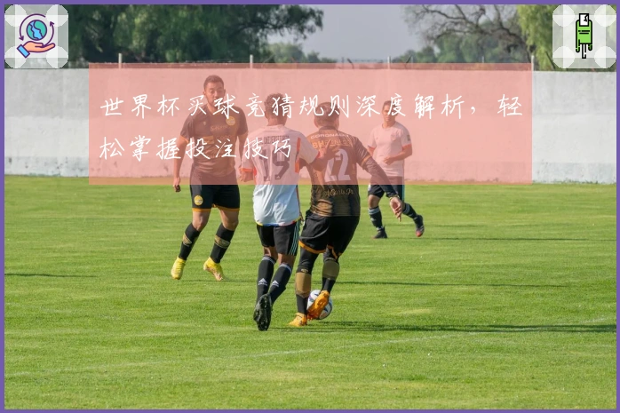世界杯买球竞猜规则深度解析，轻松掌握投注技巧