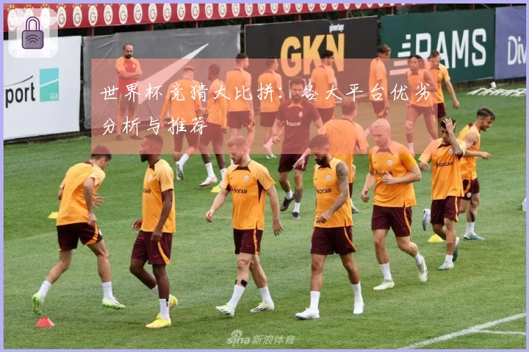 世界杯竞猜大比拼：各大平台优劣分析与推荐