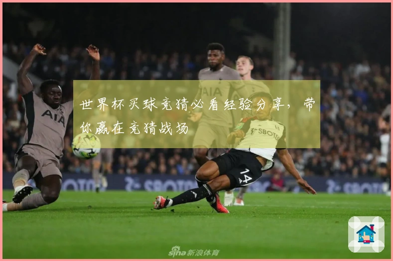 世界杯买球竞猜必看经验分享，带你赢在竞猜战场