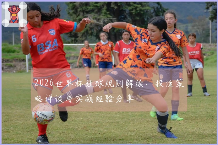 2026世界杯让球规则解读，投注策略详谈与实战经验分享