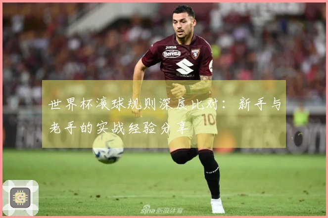 世界杯滚球规则深度比对：新手与老手的实战经验分享
