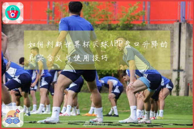 如何判断世界杯买球APP盘口升降的真实含义与使用技巧