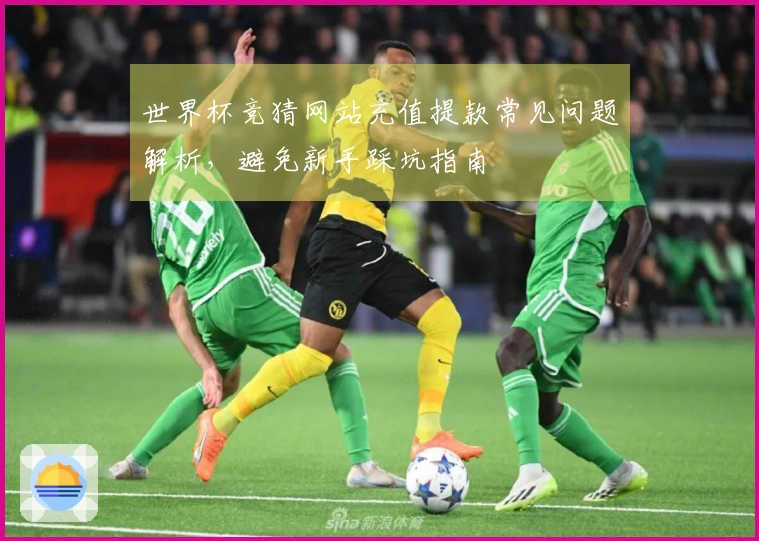 世界杯竞猜网站充值提款常见问题解析，避免新手踩坑指南