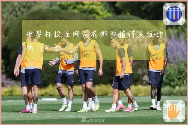 世界杯投注网站有哪些值得关注的热门平台