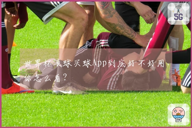 世界杯滚球买球App到底好不好用，你怎么看？