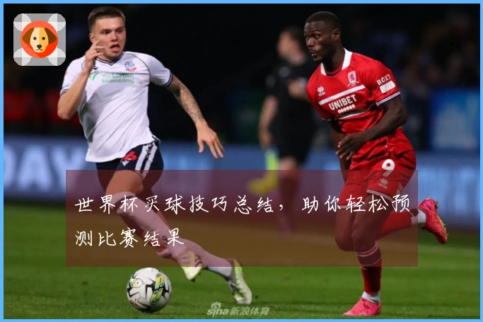世界杯买球技巧总结，助你轻松预测比赛结果